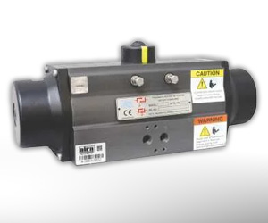pneumatic actuator